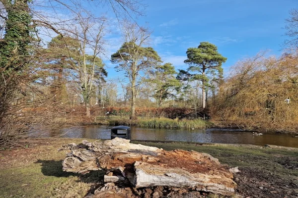 A Log Sitting on Top Of a Grass Covered Field